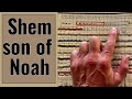 Shem Son Of Noah Lived Before And After The Flood