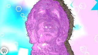 Artificial Intelligence Can Hallucinate, Too.