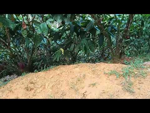 A vida na zona rural. De piraí no Norte Bahia.