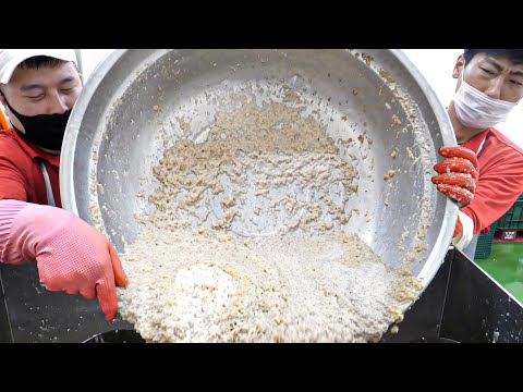 Great Hygiene (HACCP)! Amazing Korean variety of handmade kimchi making factory - Korean street food