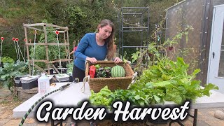 Garden Harvest After the Freeze | What’s Still Growing in My Garden