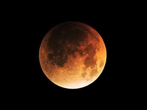 Robot Koch -  Separated feat Mree (HD)