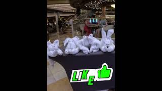 WILD Animals Lurking on the Enchanted Princess!