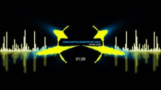 David Guetta &amp; Showtek feat. Vassy - Your Love
