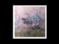 Snow Ghosts - Thrice (Black Acre Records) 
