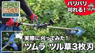 ツムラ 刈払機用 ツル草 三枚刃 – きこりあぐり通販 ツムラ 刈払機用 ツル草 三枚刃 – きこりあぐり通販