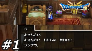 それもうオルテガだろ【ドラゴンクエストⅢリメイク そして伝説へ...】#1