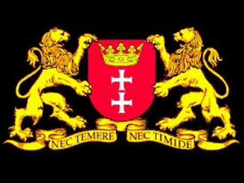 Szybkie Banany (Speedy Bananas) - Swinie