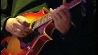 ojala que te vaya bonito