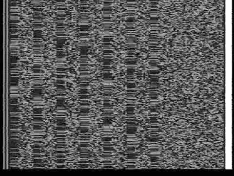 Sony PCM-601ESD PCM-Audio als Videosignal (Stevie Wonder - Part Time Lover)