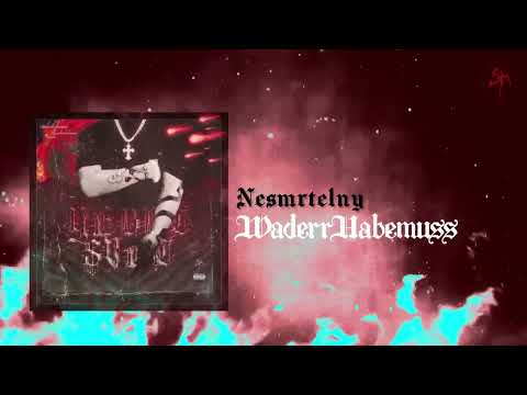 waderrhabemuss - NESMRTELNY (Music Visual)