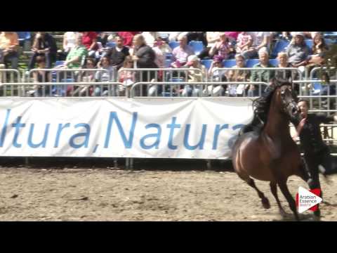Highlights Pietrasanta 2016