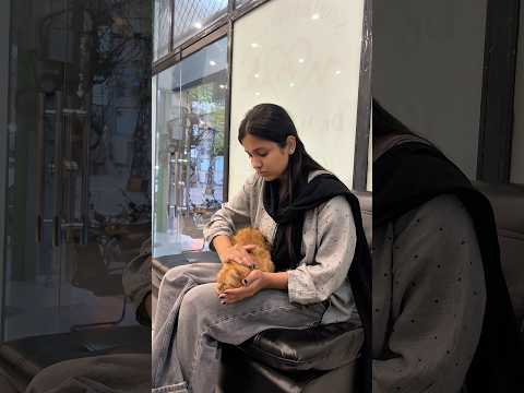 Aj bella ke surgery hai #amnaadrees #vlog #shorts #fyp #cat #surgery #dailyvlog #minivlog