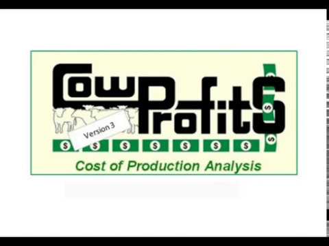 CowProfit$ 3 - Video 15 - Rollover Wizard