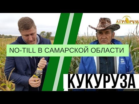 Выращивание кукурузы при NO-till в Самарской области