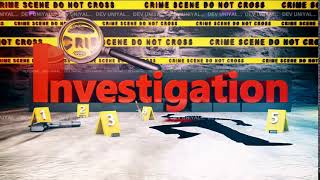 Crime Graphics