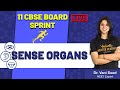 Sense Organs CBSE Class 11 Biology Dr Vani Sood Mam Vedantu Biotonic