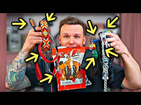 All the Dog Training Tools and When to Use Them