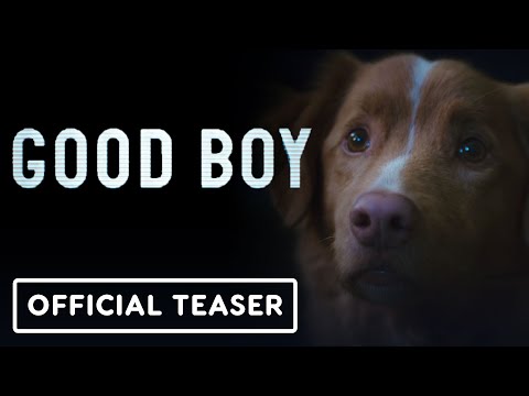 Good Boy: Exclusive PSA Regarding the Dog's Fate
