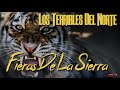 Los Terribles Del Norte - Corrido Fieras De La Sierra (Audio Oficial)