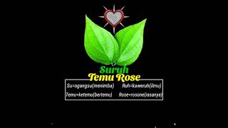 Download lagu STORY WA PSHT SURUH TEMU ROSE || ARTI DARI SURUH TEMU ROSE mp3