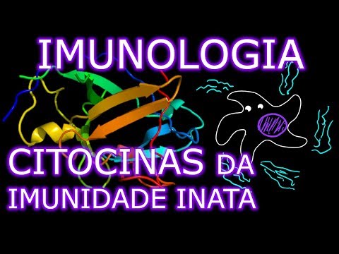 Aula: Imunologia - Citocinas da Imunidade Inata (2/3) | Imunologia #10