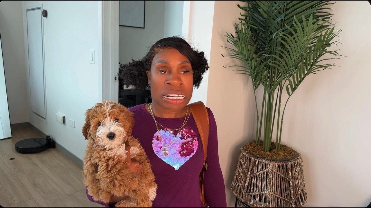 My Dog Ate My Homework!!! : Coco Just Being Coco S4E72