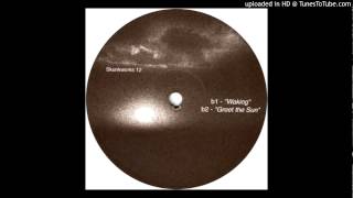 Hardcell - Greet the sun (SKUNK12 B2)