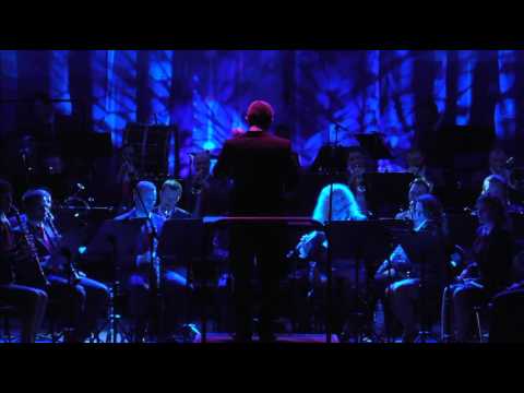 Flight of the Pegasus - David Shaffer