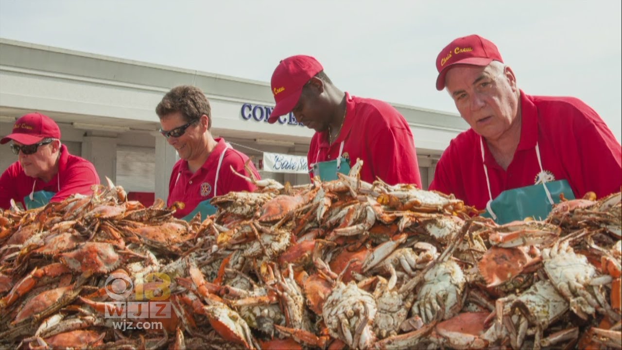 Enjoy the Seafood in Annapolis