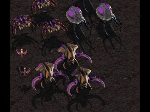 12 Sep 2020 Modstream - HYDRA Graphics