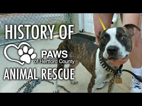 History of PAWS of Hertford County Animal Rescue