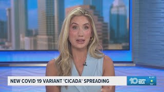 New COVID-19 variant "Cicada" found in Florida