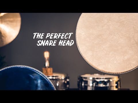 Ep. 8 How to Choose The Right Snare Drum Head