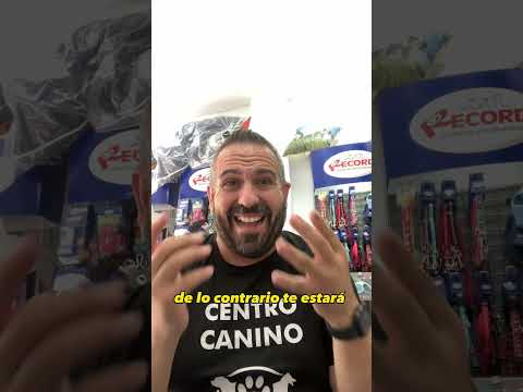 #estafador #adiestrador #educadorcanino #perropensante #asprocan #dog #perro #alzira #carcaixent