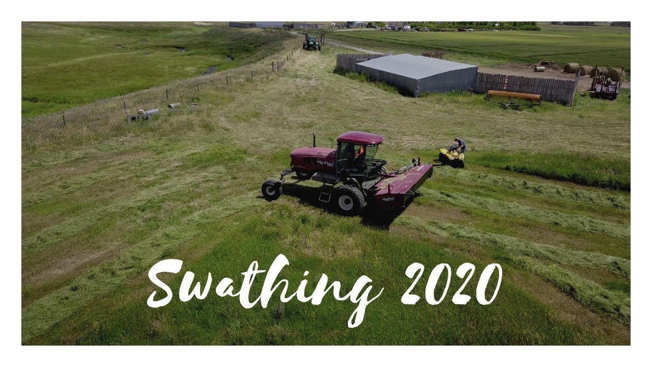 Swathing 2020 thumbnail