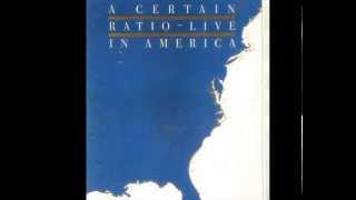 A Certain Ratio - Live in America