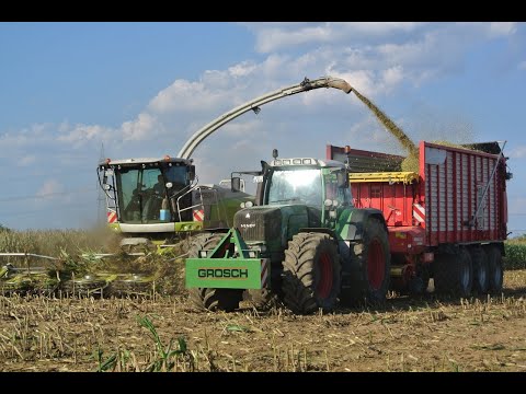 Maisernte 2019 mit Claas Jaguar 950