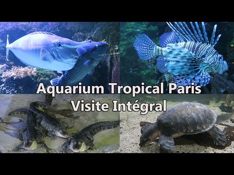 Aquarium Tropical De La Porte Dorée PARIS Visite Intégral - 1080p60 Ultra