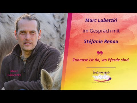 Tierkommunikation – ✨ Wenn Pferde sterben... 🌈