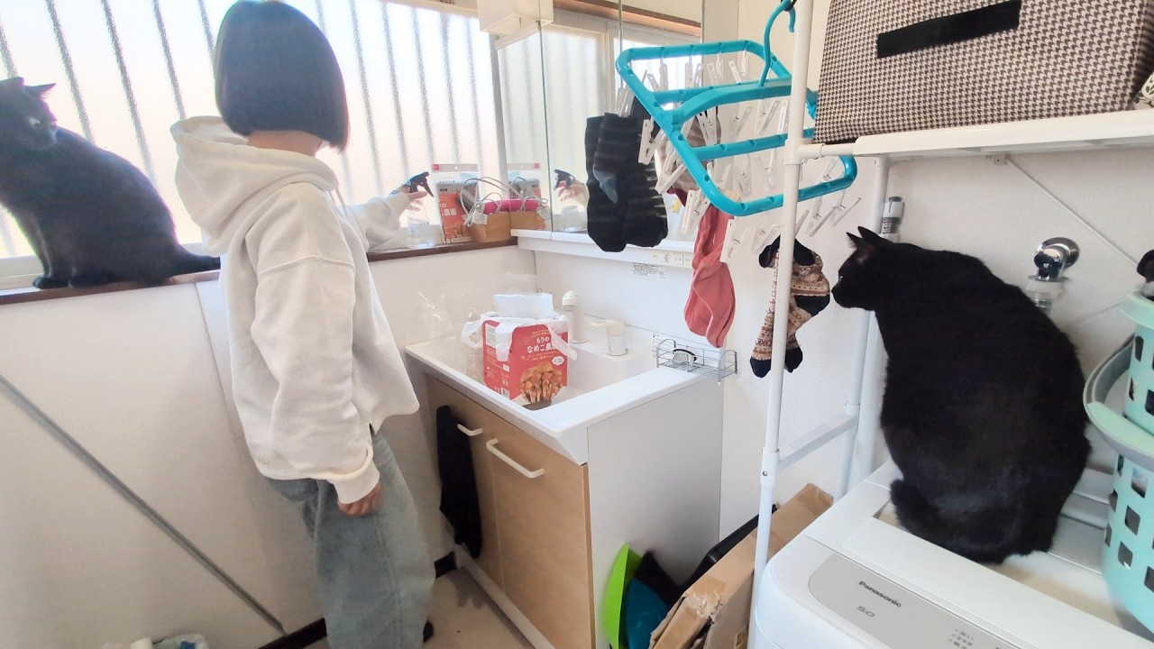 猫と犬と私の借家生活！巨大化したなめことにぎやかな一日！