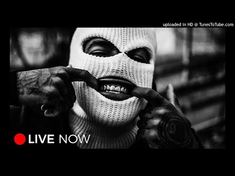 LA JUNGLA 🦍 / KING SOLI X WIZ VERETA