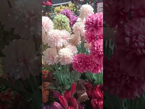 #jawan #viral #travel #flower #beautiful