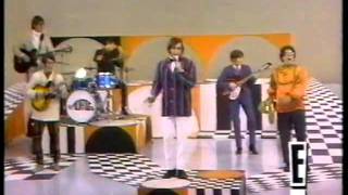 The Turtles - Happy Together - 1967