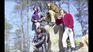 28 - The Seeds / Love In A Summer Basket