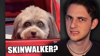 Exploring Terrifying Skinwalker Sightings. MQDEFAULT Thumbnail