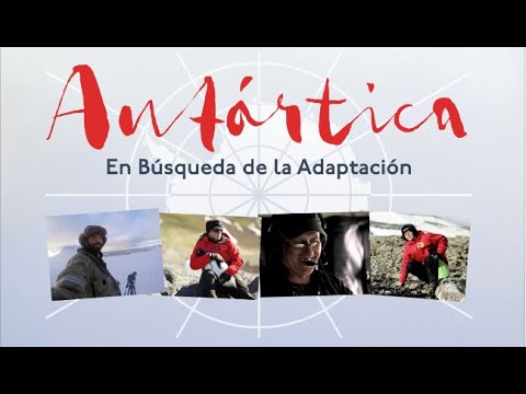 Antártica: En Búsqueda de la Adaptación | Trailer Oficial