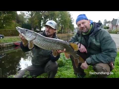 Matze Koch: With Schwedenspezi on Pike - Matze's Antics 01-2019