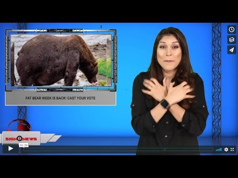 Fat bear week is back! Cast your vote (ASL - 10.3.19)