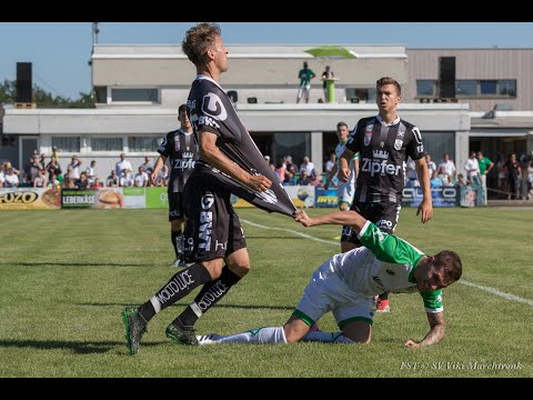 Jahresrückblick 2019